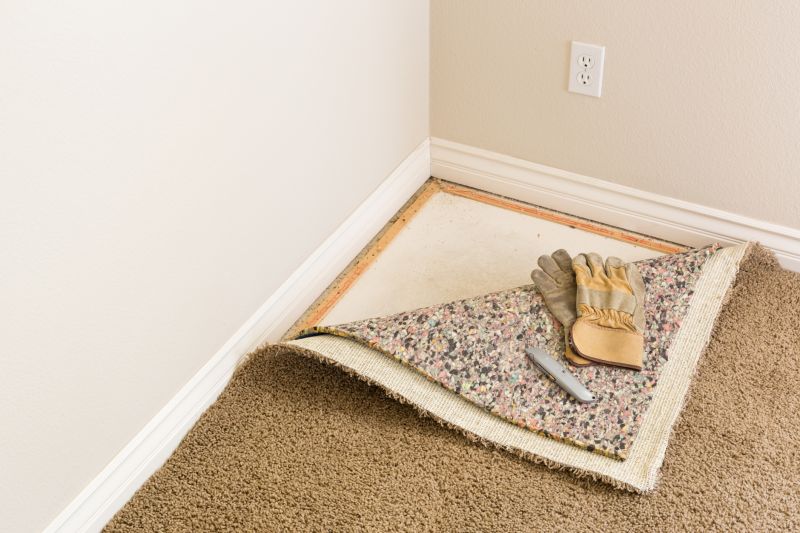 Carpet Replacement