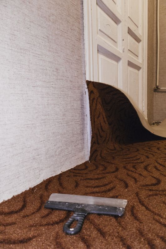 Carpet Repair Service in Denver County, CO